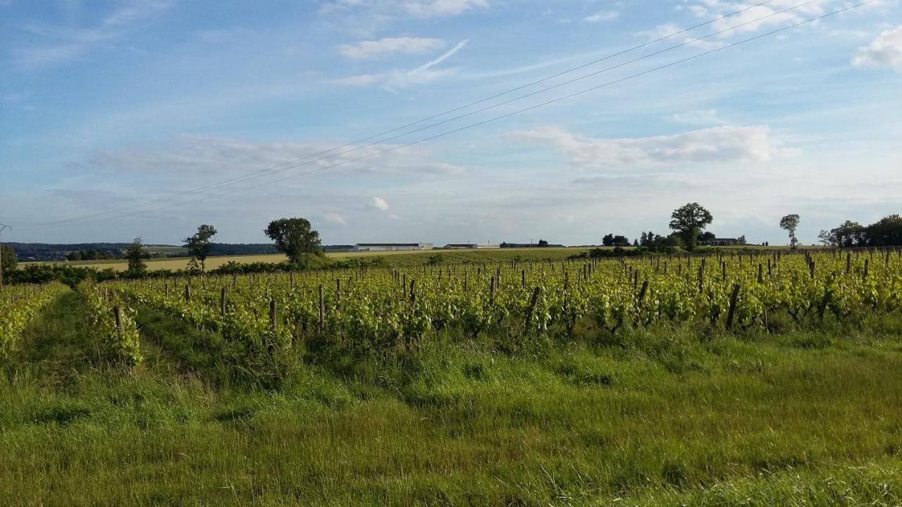 Gite-Civray-De-Touraine Maison De Denise 外观 照片